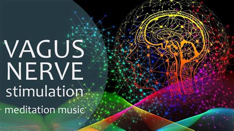 What Frequency Activates The Vagus Nerve? Exploring Optimal Stimulation ...