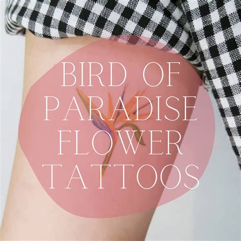 67 Colorful Bird of Paradise Flower Tattoo Designs - Tattoo Glee