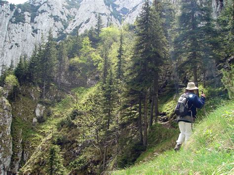 Go Adventure Hike In Piatra Craiului National Park Tour In