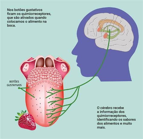 Sabores que vêm do cérebro CHC