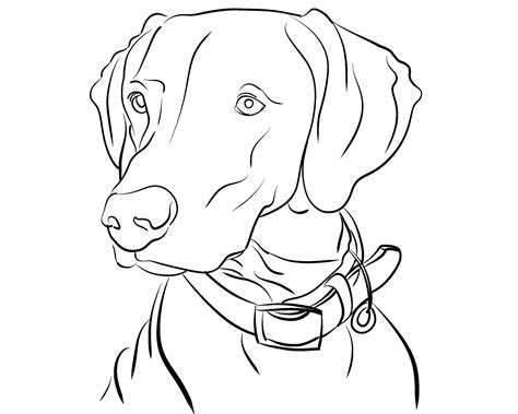 Dog Line Art Pet Line Drawing Custom Line Art Single Line - Etsy