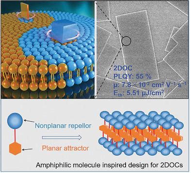 A Bio Inspired Molecular Design Strategy Toward D Organic