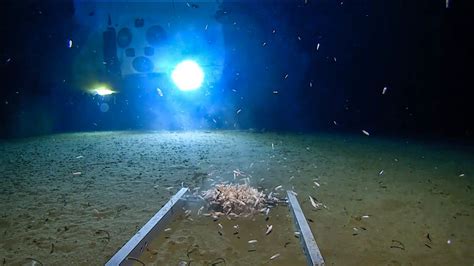 Mariana Trench and Challenger Deep: 6 facts about the oceanic chasm | CNN