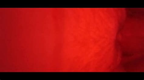 Inside Pussy Search XNXX