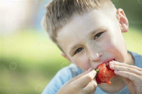 The child eats berries. The face of a boy eating sweet strawberries ...