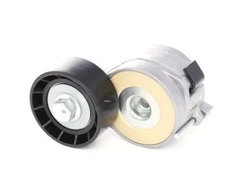 Rodamiento Tensor Alternador S Citroen Berlingo 1 6hdi