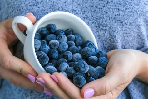 Here’s Why Blueberries Are Actually Purple