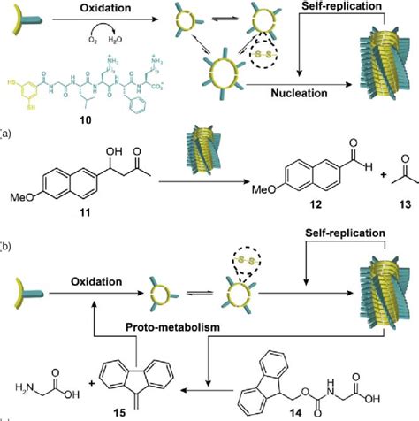 A Dithiol Building Block Upon Oxidation Produces A Mixture Of