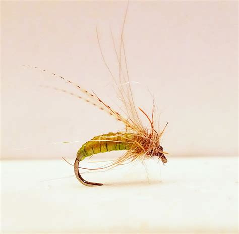 Caddis Puppa Fly Fishing Flies Caddis Pupa Trout Trout Flies