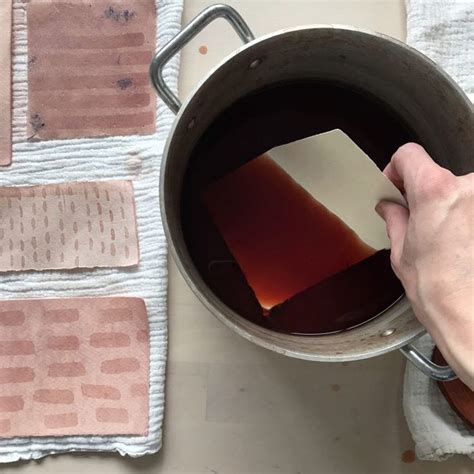 How To Dye Paper With Natural Dyes Rebecca Desnos Natural Dyes How