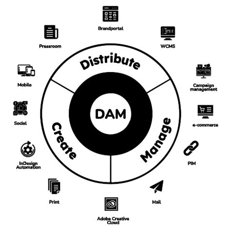 Digital Asset Management Dam Solution Consulting Syncrasy Tech