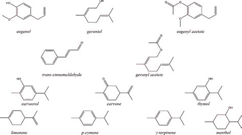 Main Components Of Essential Oils 60 Download Scientific Diagram