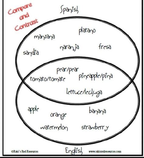 Branches Of Government Venn Diagram