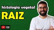 Histologia Vegetal Raiz Aula M Dulo V Nica Prof Guilherme