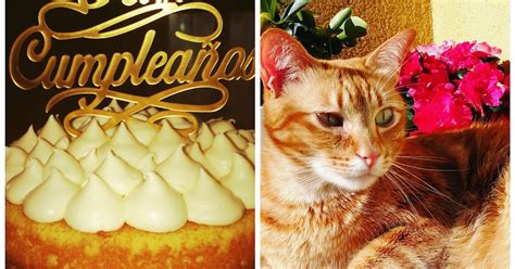 Canela En Dulce Naked Cake Con Crema De Queso