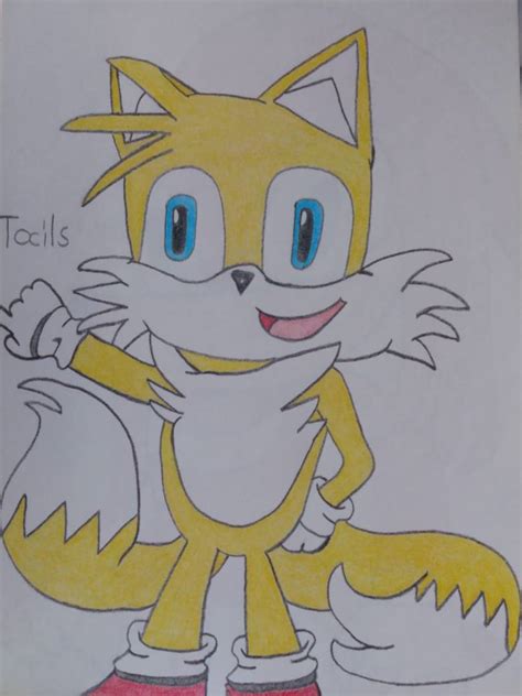 Tails the fox by Roxyfoxy523 on DeviantArt