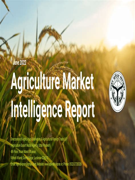 Fillable Online Commodity Wise Market Wise Daily Report For A State