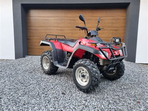 Quad Buyang X Ccm Zarejestrowany Doinwestowany Pietrzykowice Olx Pl