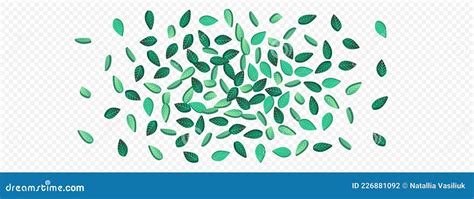 Swamp Leaf Realistic Vector Panoramic Transparent Stock Illustration