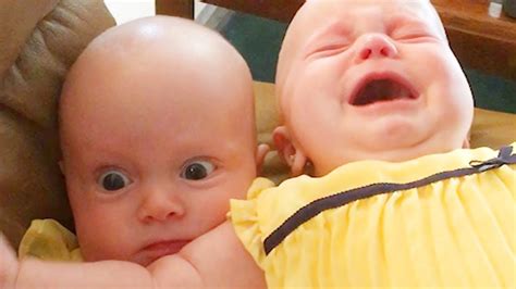 Funny Twin Babies Fighting Over Stuff Funny Baby Videos YouTube