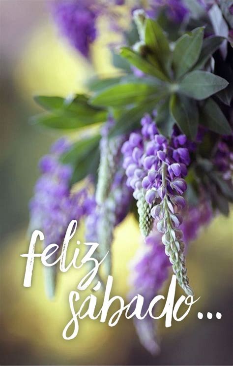 Feliz S Bado Feliz D A S Bado Saturday Happy Saturday Happy