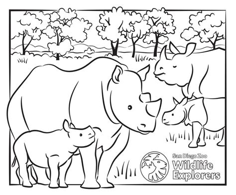 Rhino Coloring Pages Free Coloring Pages Printables