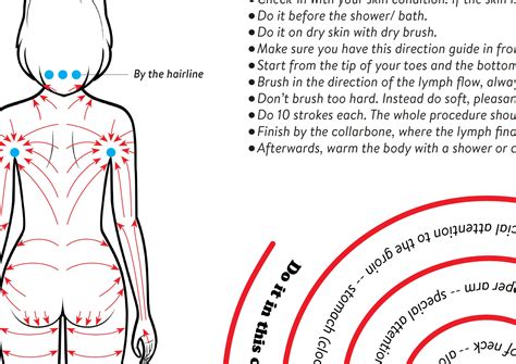 Dry Body Brushing Direction Guide Poster Printable Instant Etsy Uk