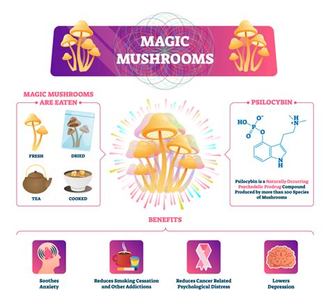 The Advantages and Potential Risks of Psilocybin Mushrooms - Shaman Mushroom Spores