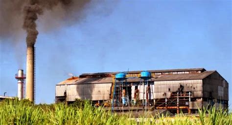 El Pequeño Agroindustrial El ingenio azucarero como idealización de la