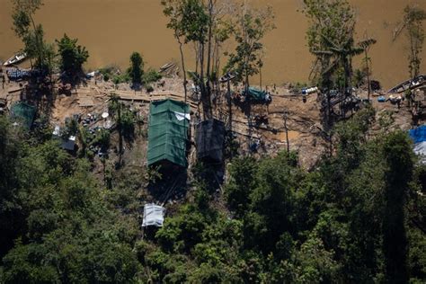 Yanomami entenda o que está acontecendo os povos indígenas