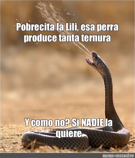 Omics Meme Pobrecita La Lili Esa Perra Produce Tanta Ternura Y Como