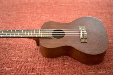 10 Best Concert Ukuleles In 2024