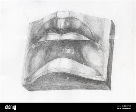 Academic Drawing Male Mouth Plaster Cast Fragment Of Davids Face