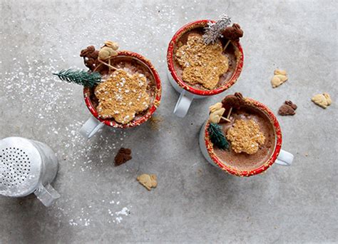 Smores Hot Cocoa Take A Megabite