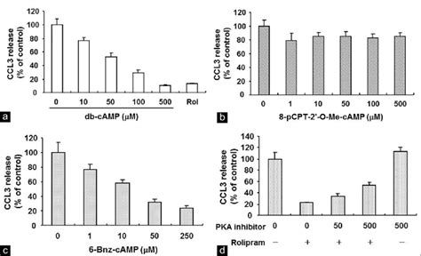 Effect Of Cyclic Adenosine Monophosphate CAMP Signaling On