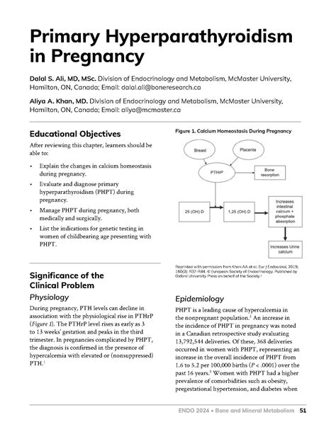 Meet The Professor 2024 Ebook Endocrine Society