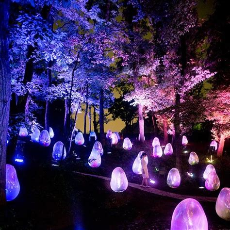 Immersive Installation Takes Over A Japanese Botanical Garden Turning