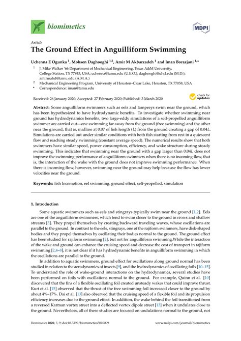 (PDF) The Ground Effect in Anguilliform Swimming