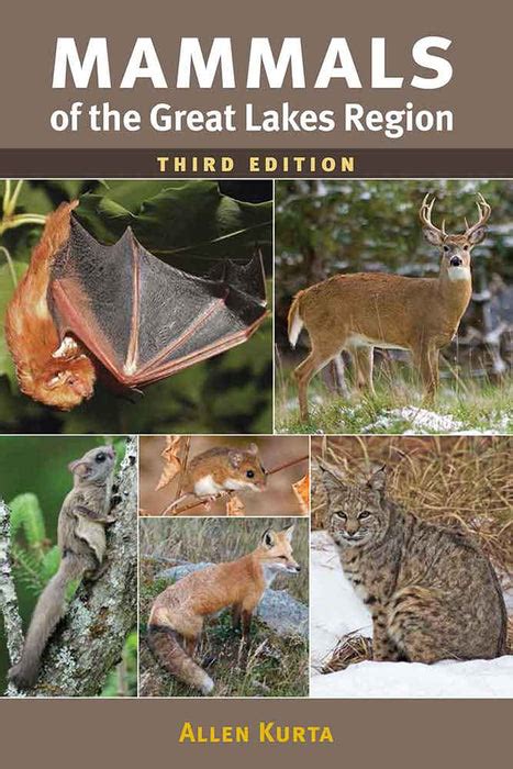 Mammals of the Great Lakes Region 3rd Edition — Nature Niche