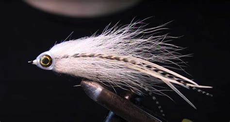 Smallmouth Bass Predator X Fly Tying Tutorial Midcurrent