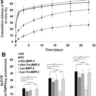 DNA Assay For Proliferation Of BMSCs Cocultured With Various CDHA BMP 2