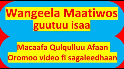 Wangeela Maatiwos Sagaleedhaan Afaan Oromoo Macaafa Qulqulluu Kakuu H 1 Youtube