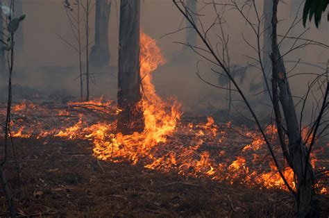 Mais de 460 freguesias explorações agrícolas na lista para apoio