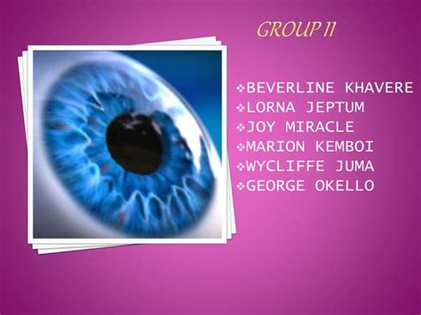 ANATOMY OF THE SCLERA | PPT