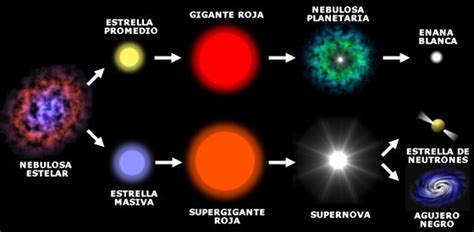 fajtalanság Amper sarkantyú ciclo de vida de las estrellas wikipedia