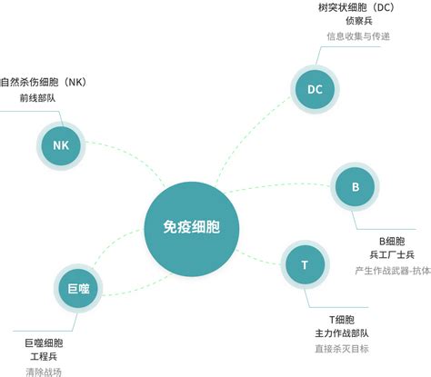 免疫细胞储存 源创基因 细胞存储 细胞调理 细胞抗衰研究及免疫细胞研究专业机构