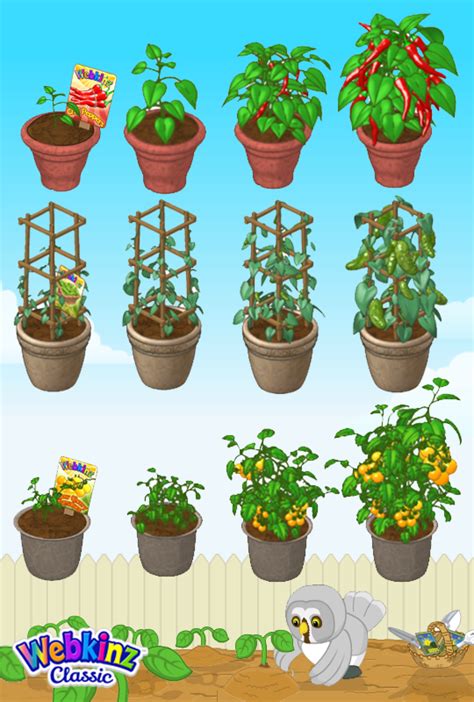 Clubhouse Garden Center — Webkinz Blog Previously Gymbo S Webkinz Blog