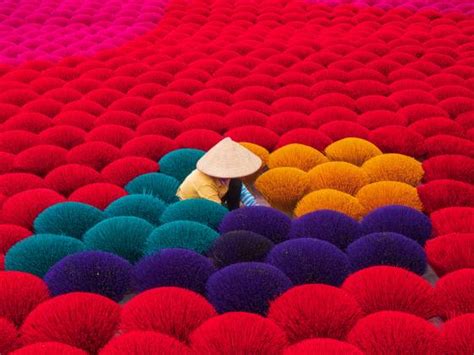 Vietnam Festival, Early Jun, 2025 | Tokyo Cheapo