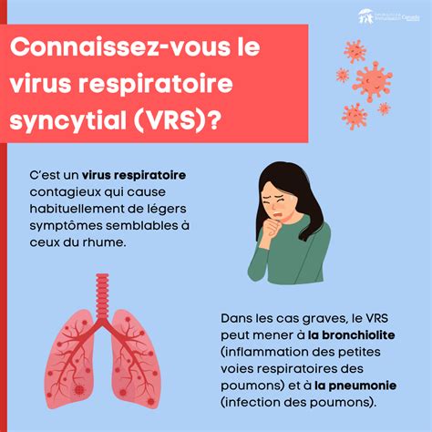 Le Virus Respiratoire Syncytial Vrs Immunizecanada