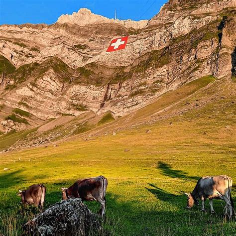 Säntis Vom Bodensee aus zu sehen Schweizer Flagge am Berg SÜDKURIER